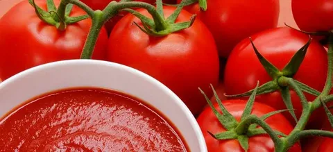 رب گوجه ارم ستاره دخت با غلظت استاندارد